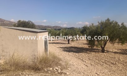 Trama - Reventa - Salinas - Inland