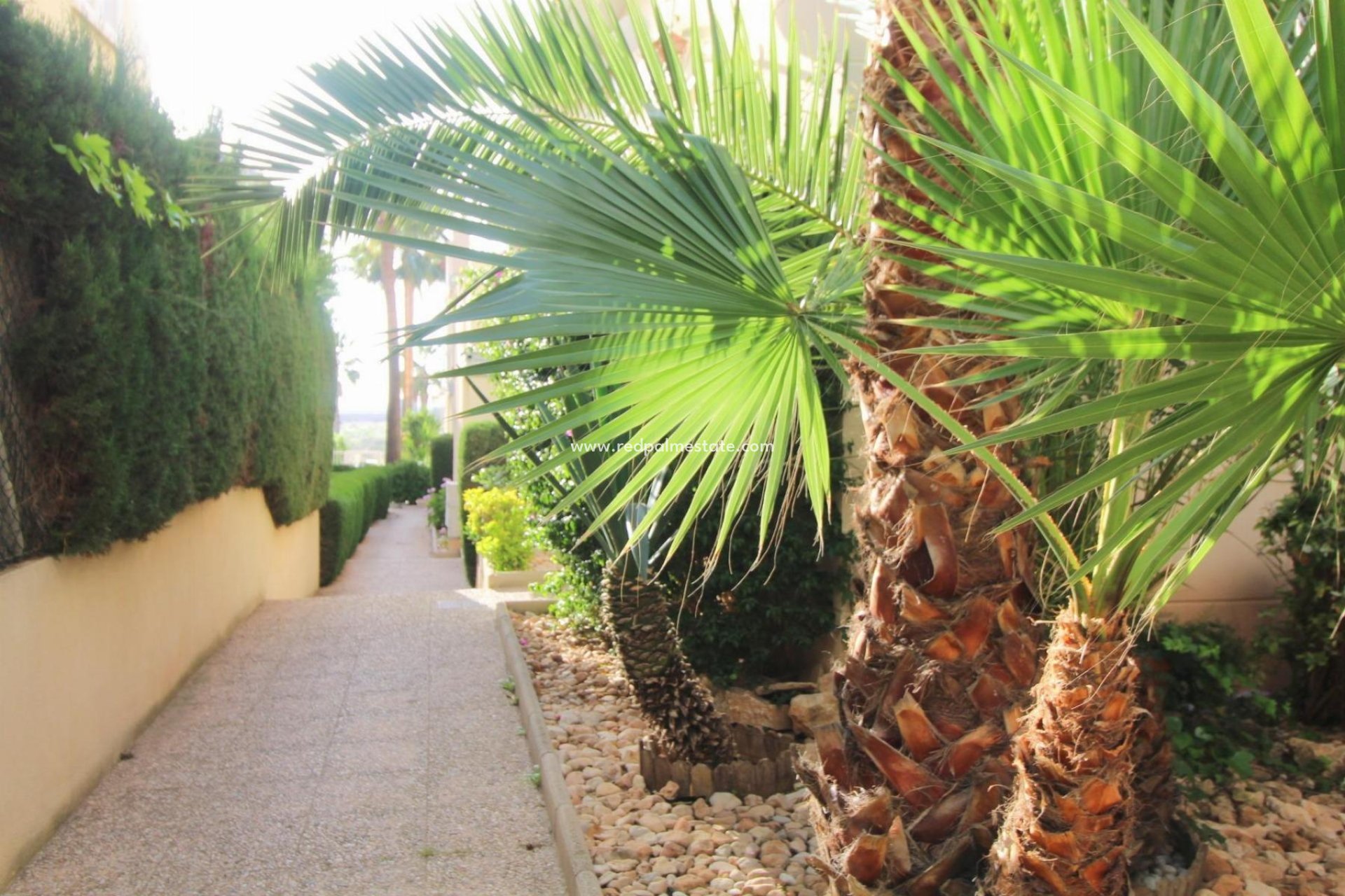 Videresalg - Apartamento -
Torrevieja - La Veleta