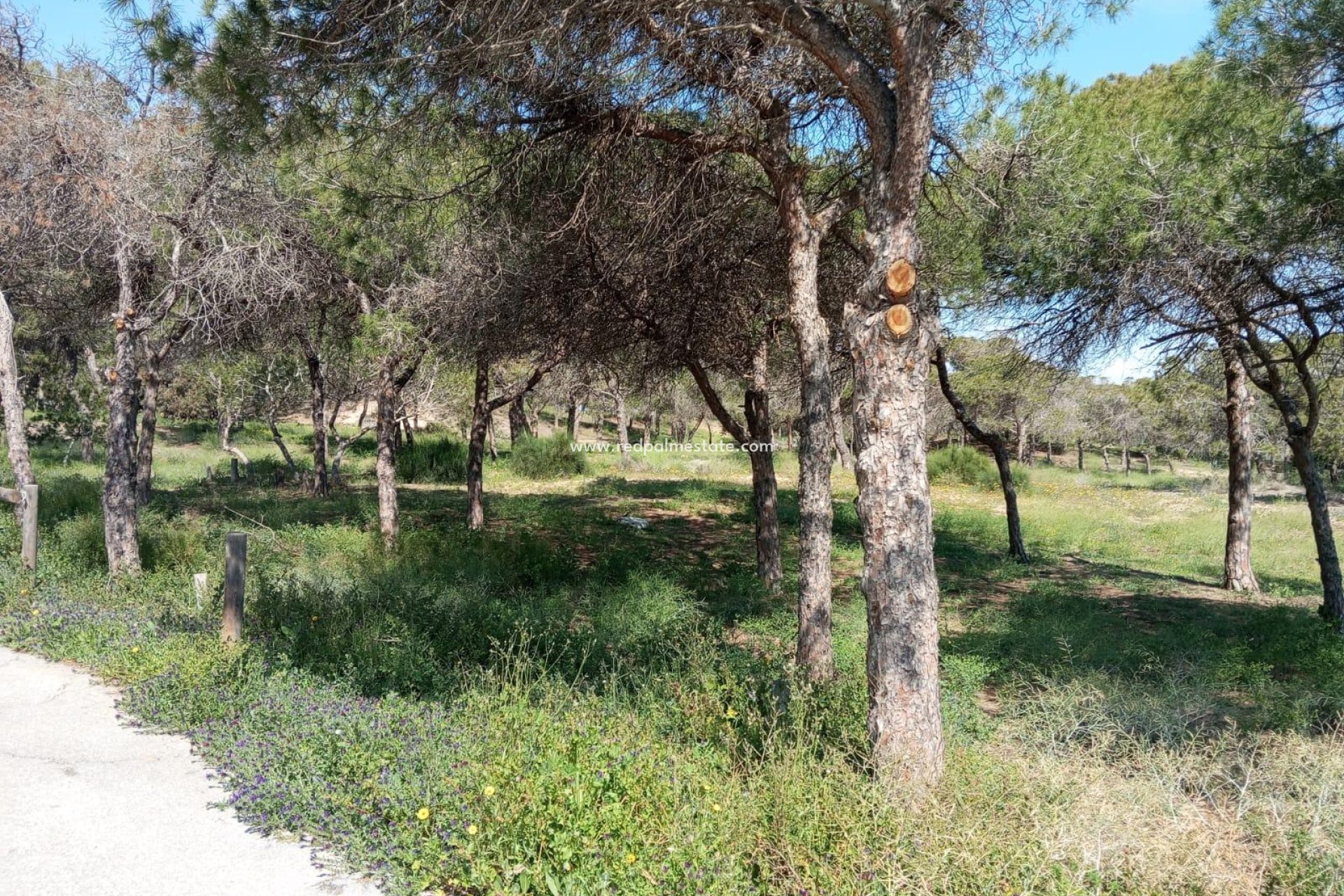 Videresalg - Bungalow -
Guardamar del Segura - Urbanizaciones