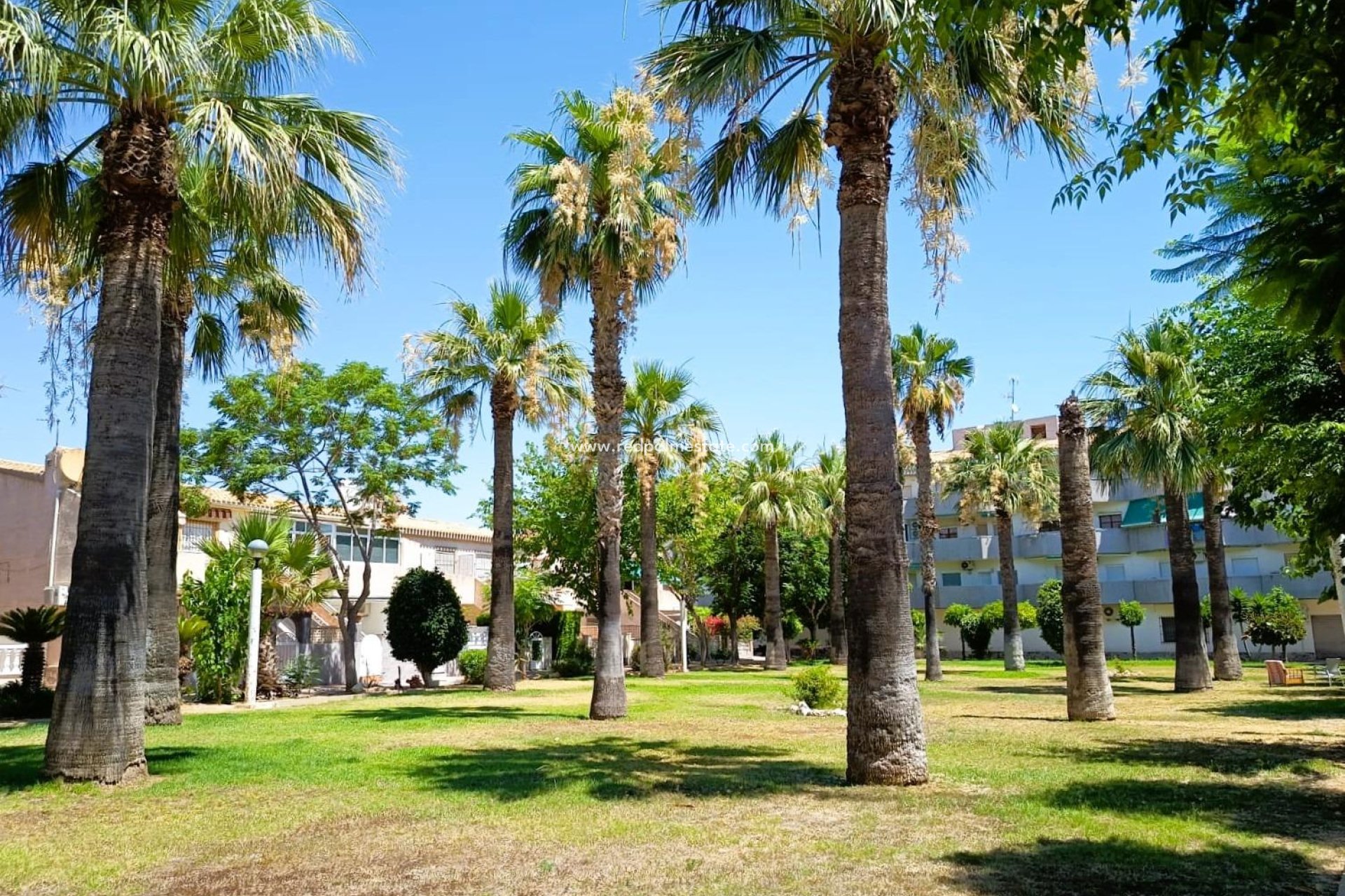 Videresalg - Bungalow -
Orihuela Costa