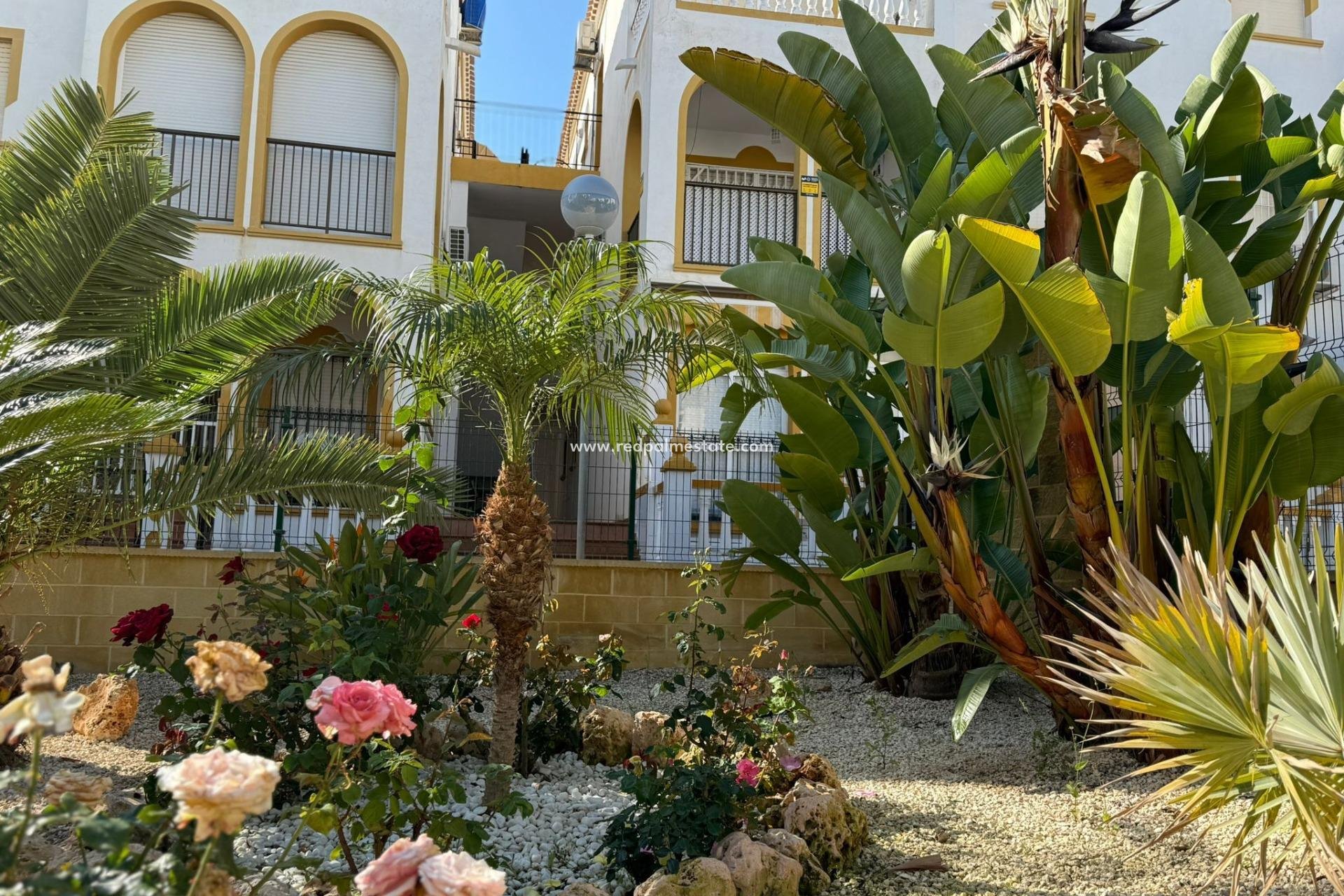 Videresalg - Bungalow -
Torrevieja - Cañada Del Molino