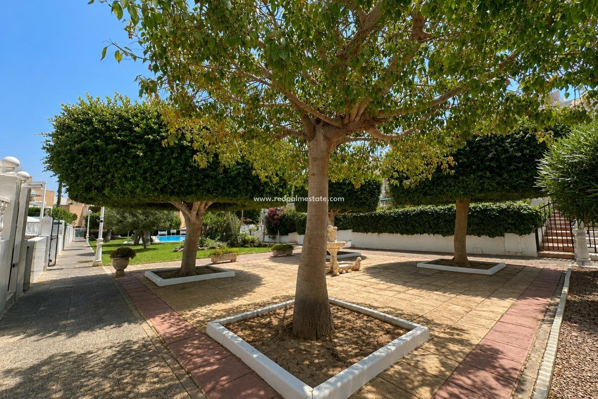 Videresalg - Bungalow -
Torrevieja - La Mata