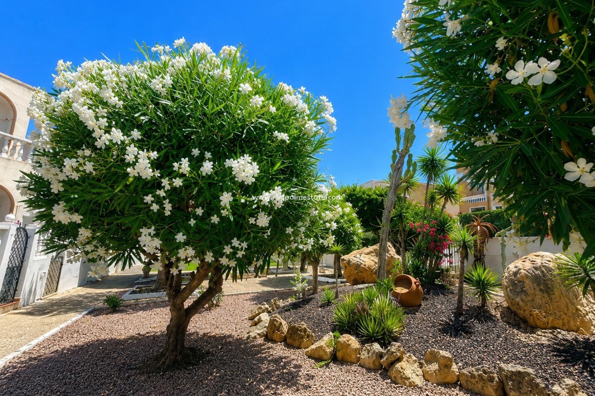 Videresalg - Bungalow -
Torrevieja - La Mata