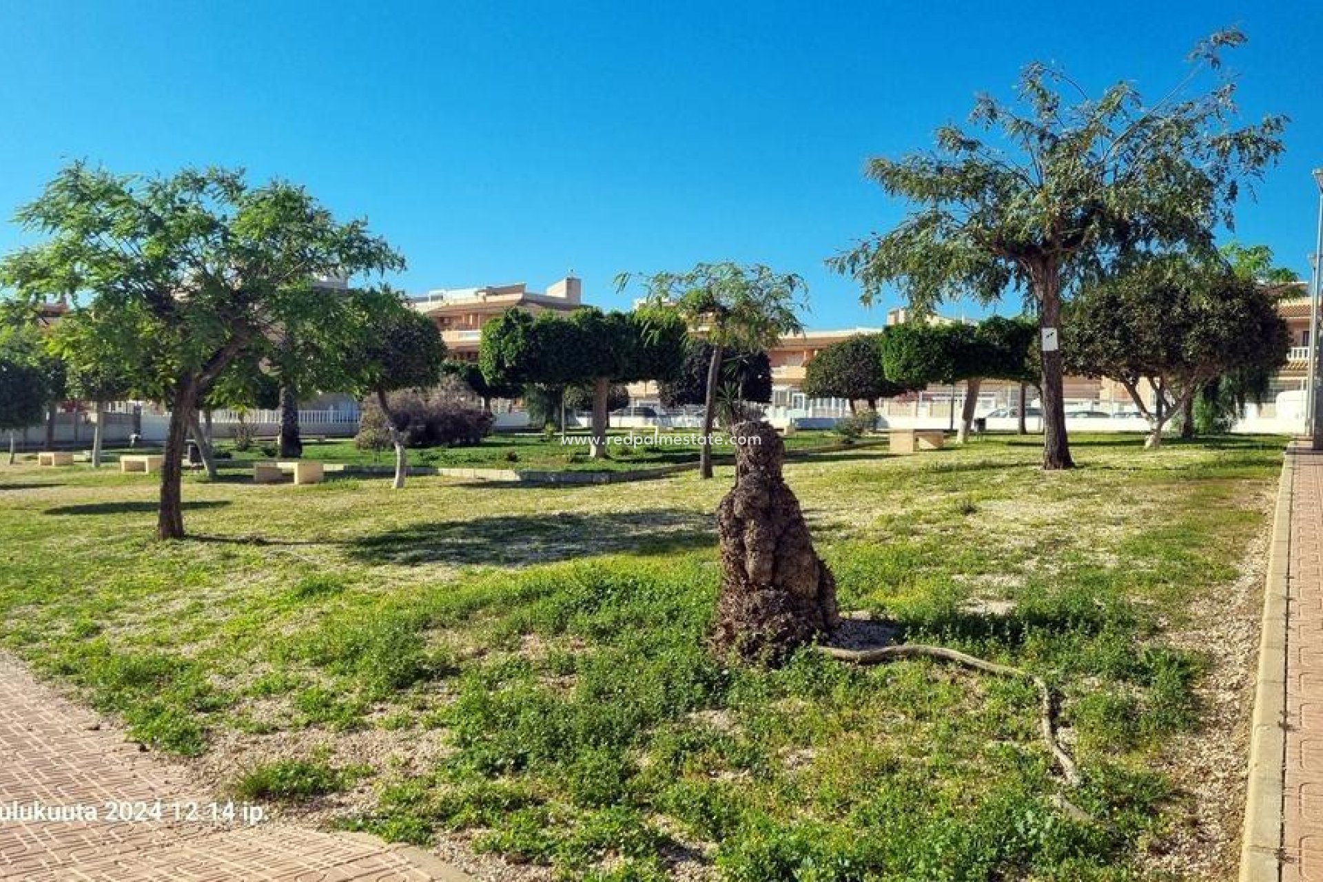 Videresalg - Bungalow -
Torrevieja - La Mata