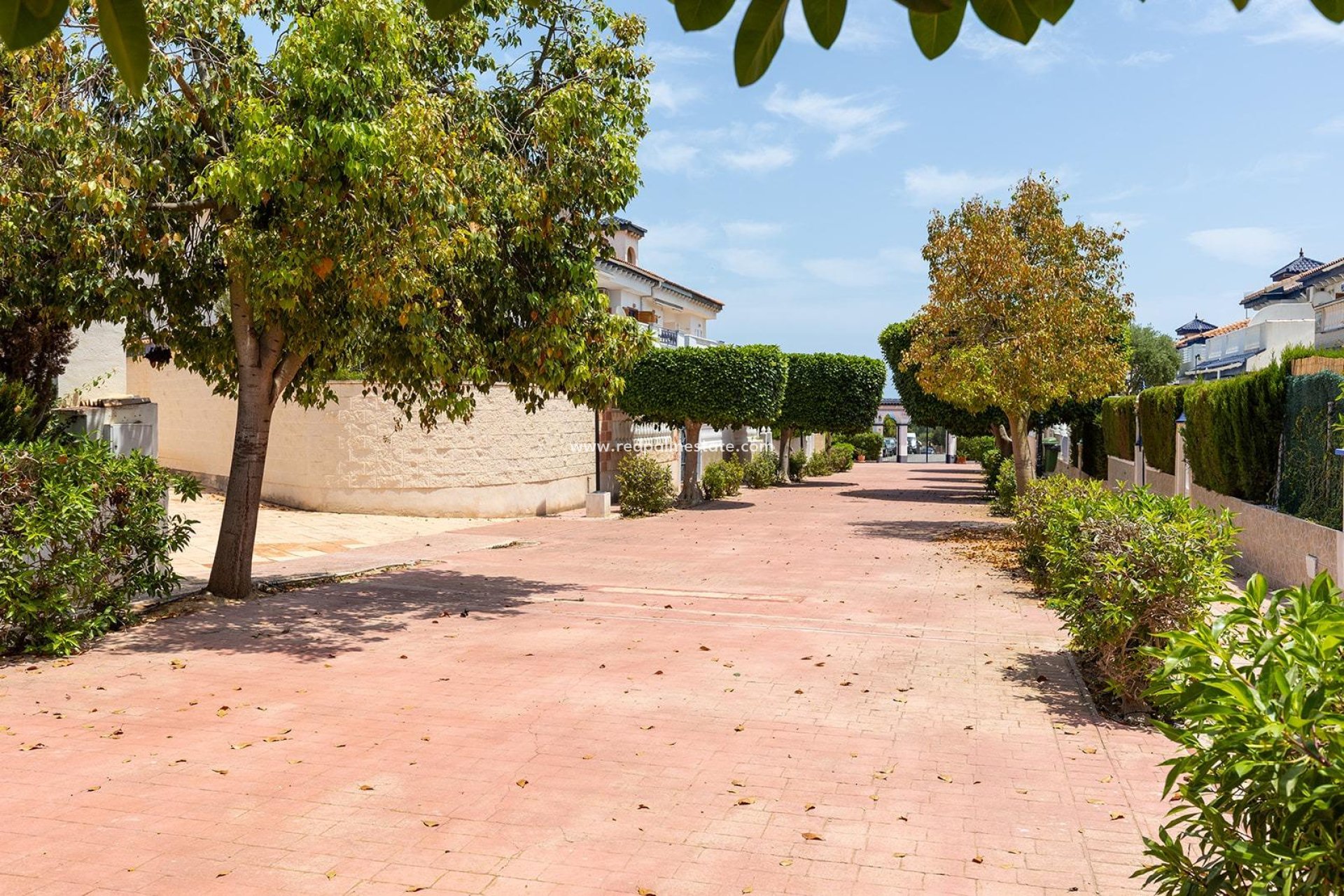 Videresalg - Bungalow -
Torrevieja - La Mata