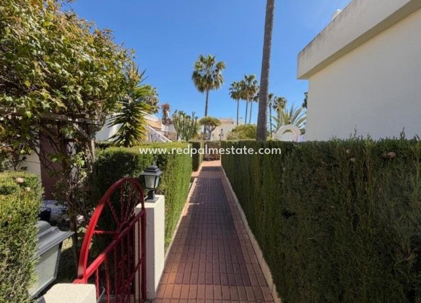 Videresalg - Bungalow -
Torrevieja - La Siesta - El Salado - Torreta