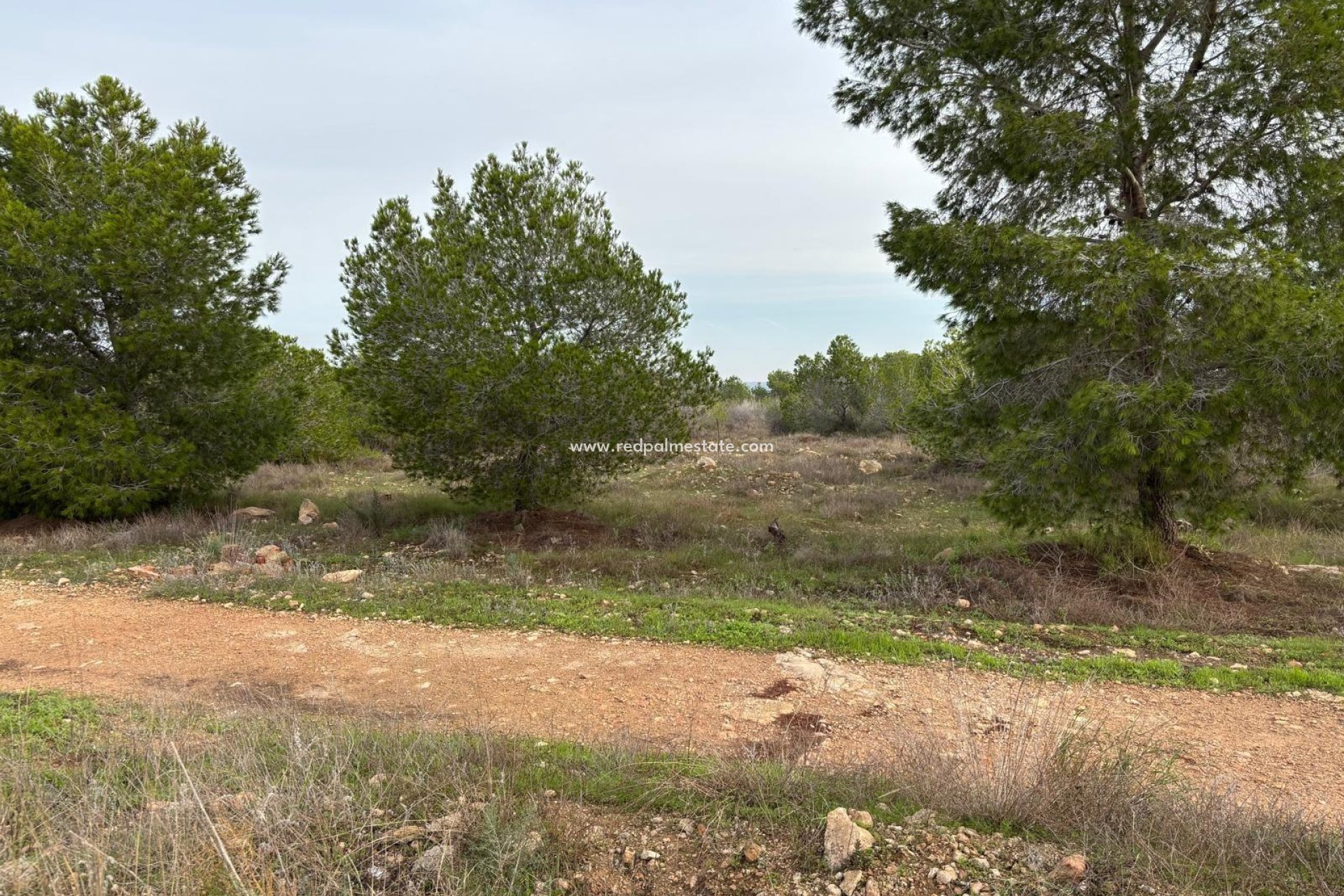 Videresalg - Bungalow -
Torrevieja - La Siesta - El Salado - Torreta