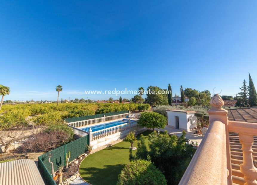 Videresalg - Finca / Landeiendom -
Albatera