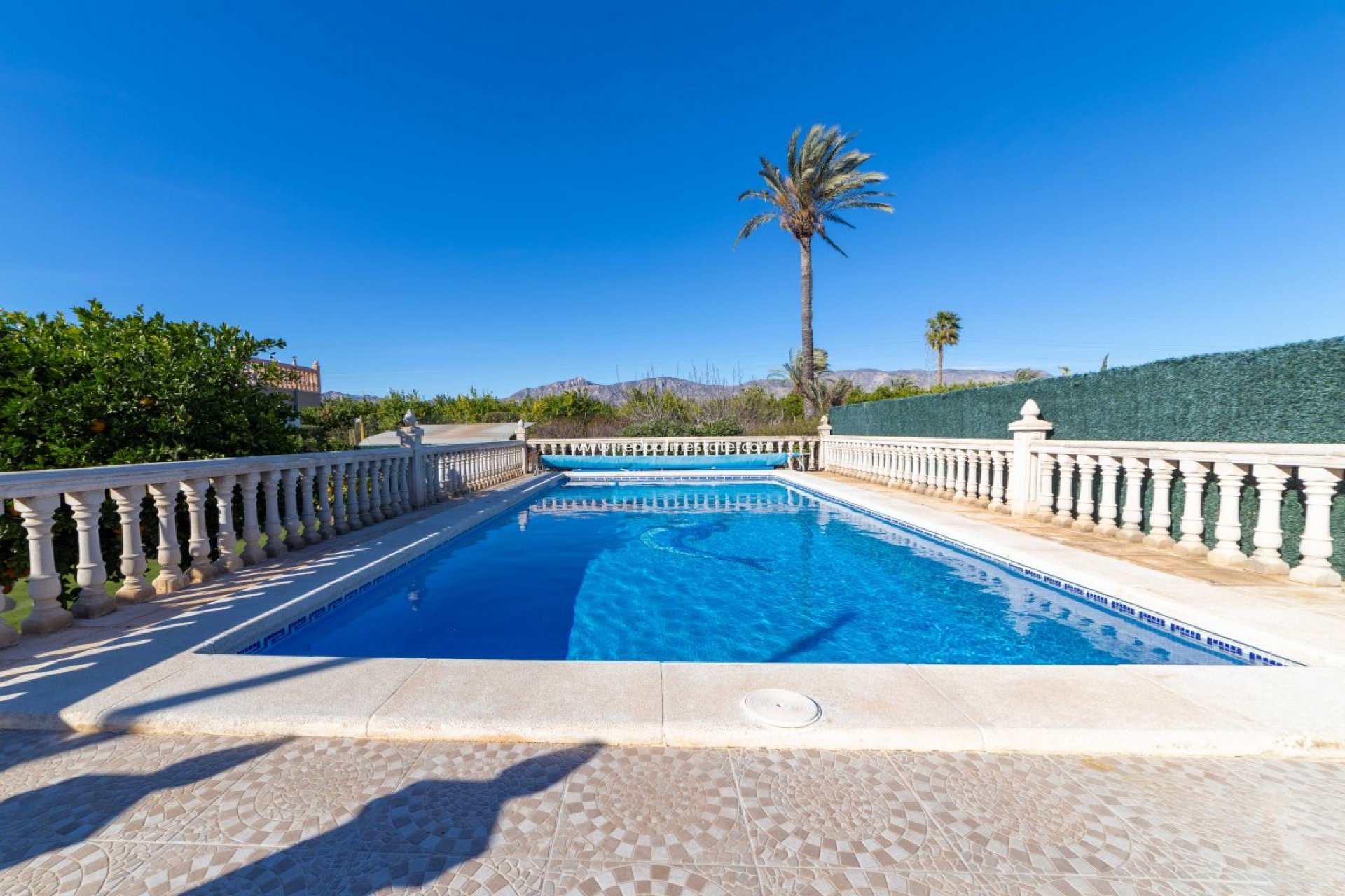 Videresalg - Finca / Landeiendom -
Albatera