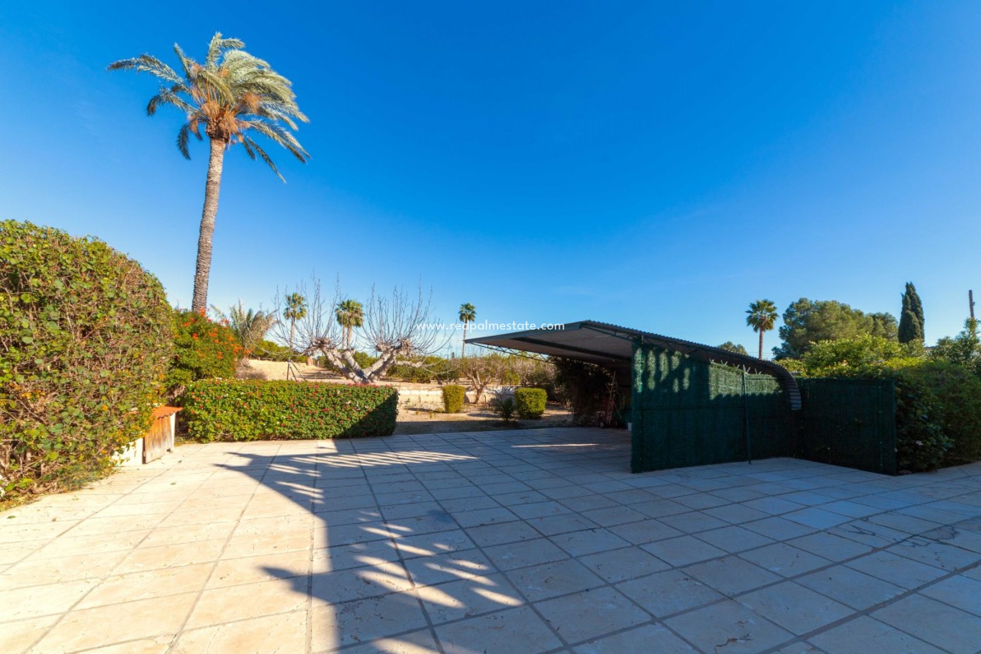 Videresalg - Finca / Landeiendom -
Albatera