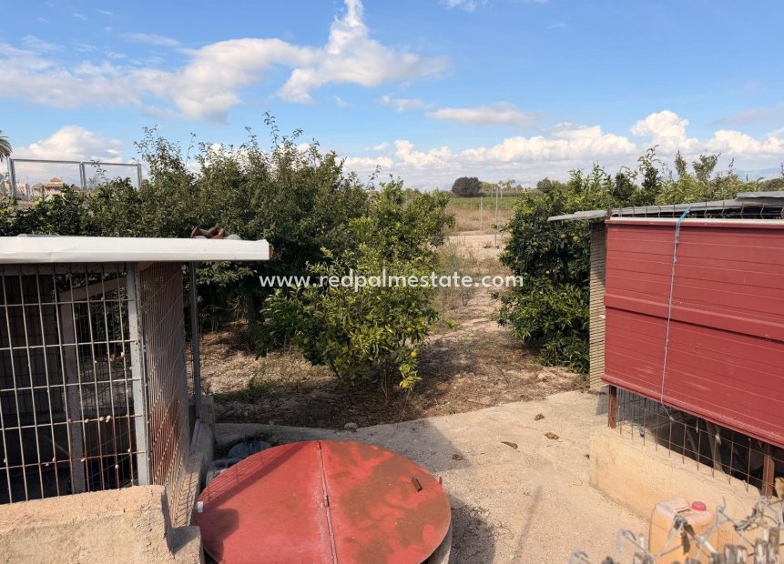 Videresalg - Finca / Landeiendom -
Almoradí - Partido De Las Bovedas