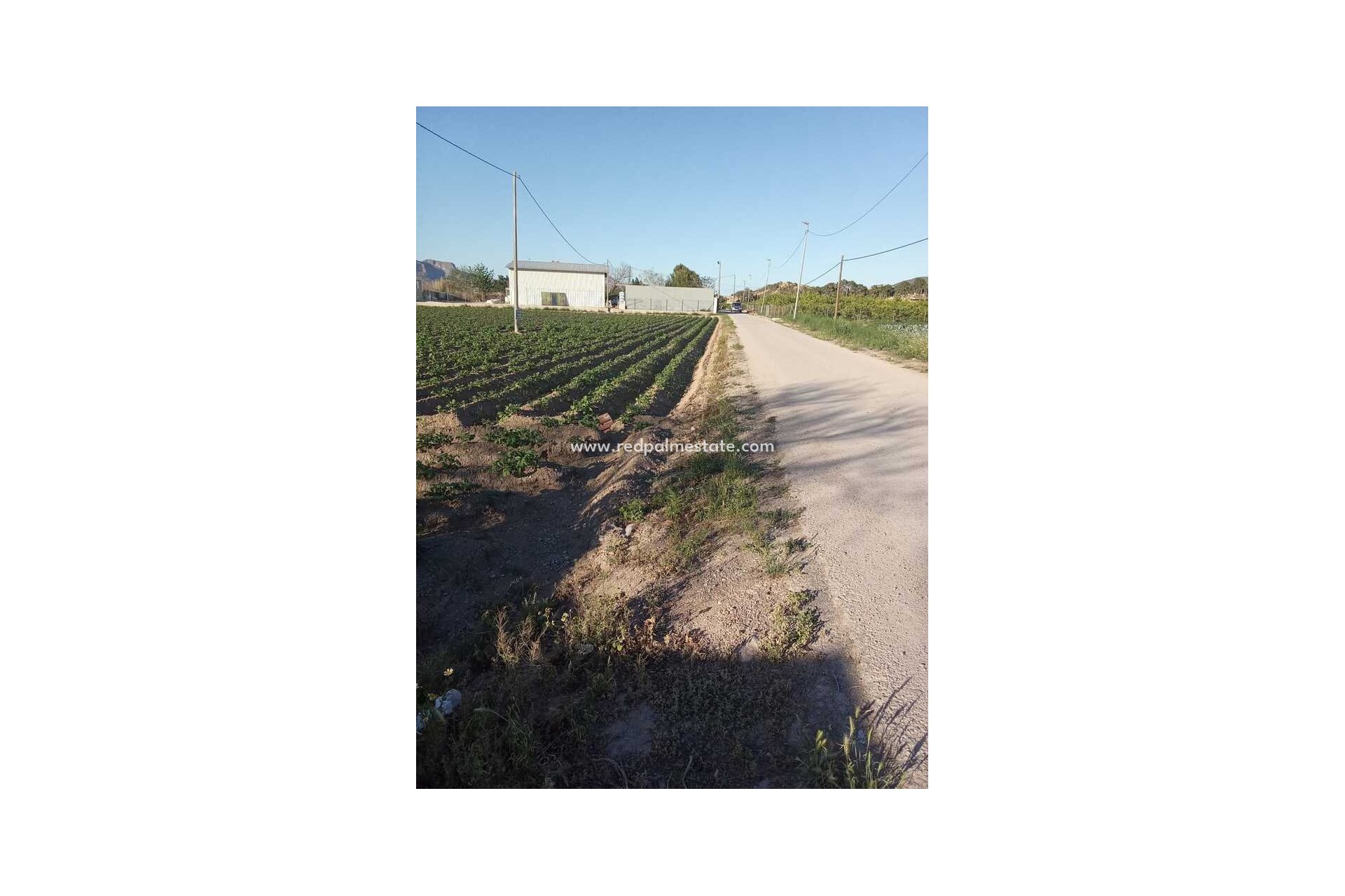 Videresalg - Finca / Landeiendom -
Arneva - LOS DESAMPARADOS