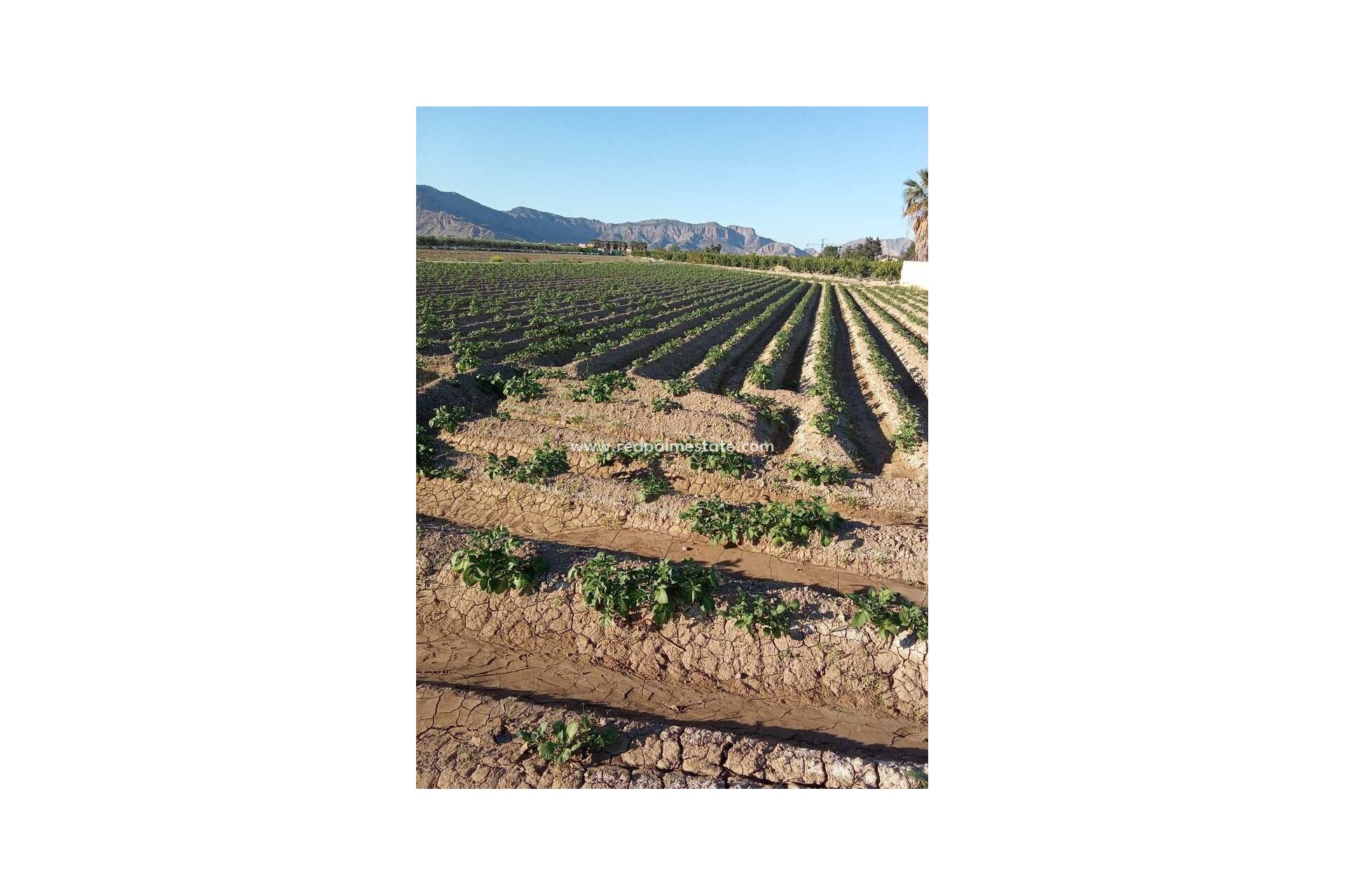 Videresalg - Finca / Landeiendom -
Arneva - LOS DESAMPARADOS