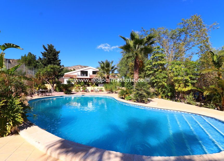 Videresalg - Finca / Landeiendom -
Aspe