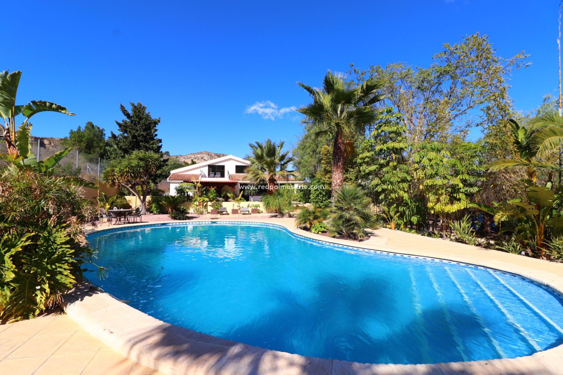Videresalg - Finca / Landeiendom -
Aspe