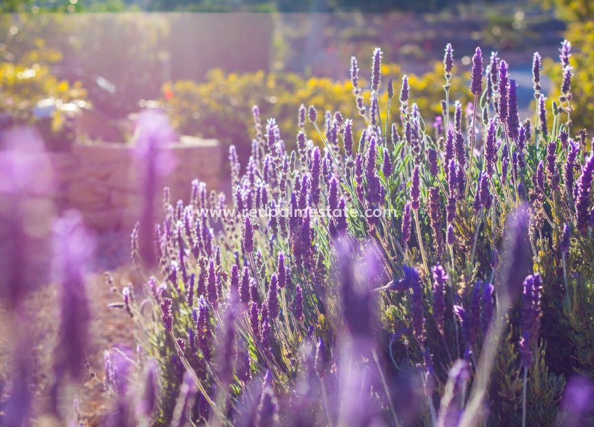 Videresalg - Finca / Landeiendom -
Benissa - Costa Blanca