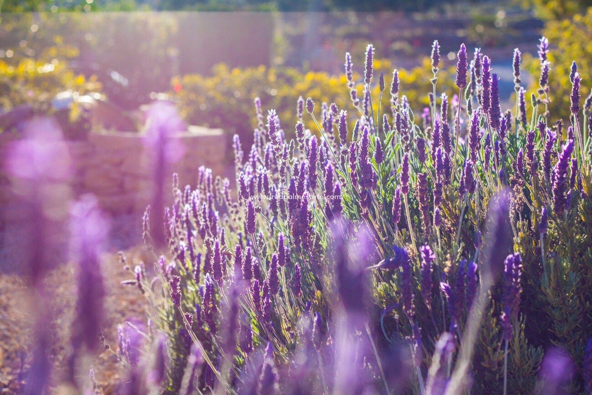 Videresalg - Finca / Landeiendom -
Benissa - Costa Blanca