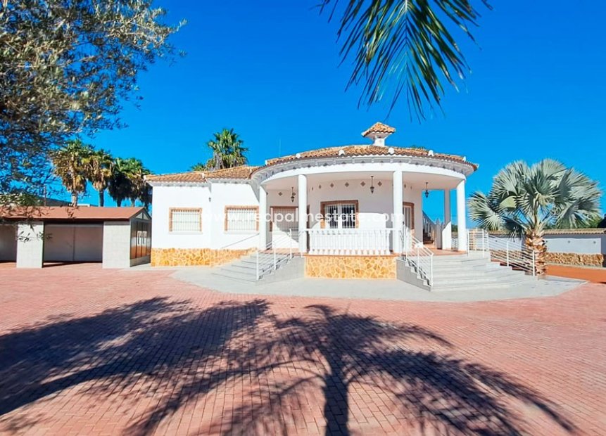 Videresalg - Finca / Landeiendom -
Catral
