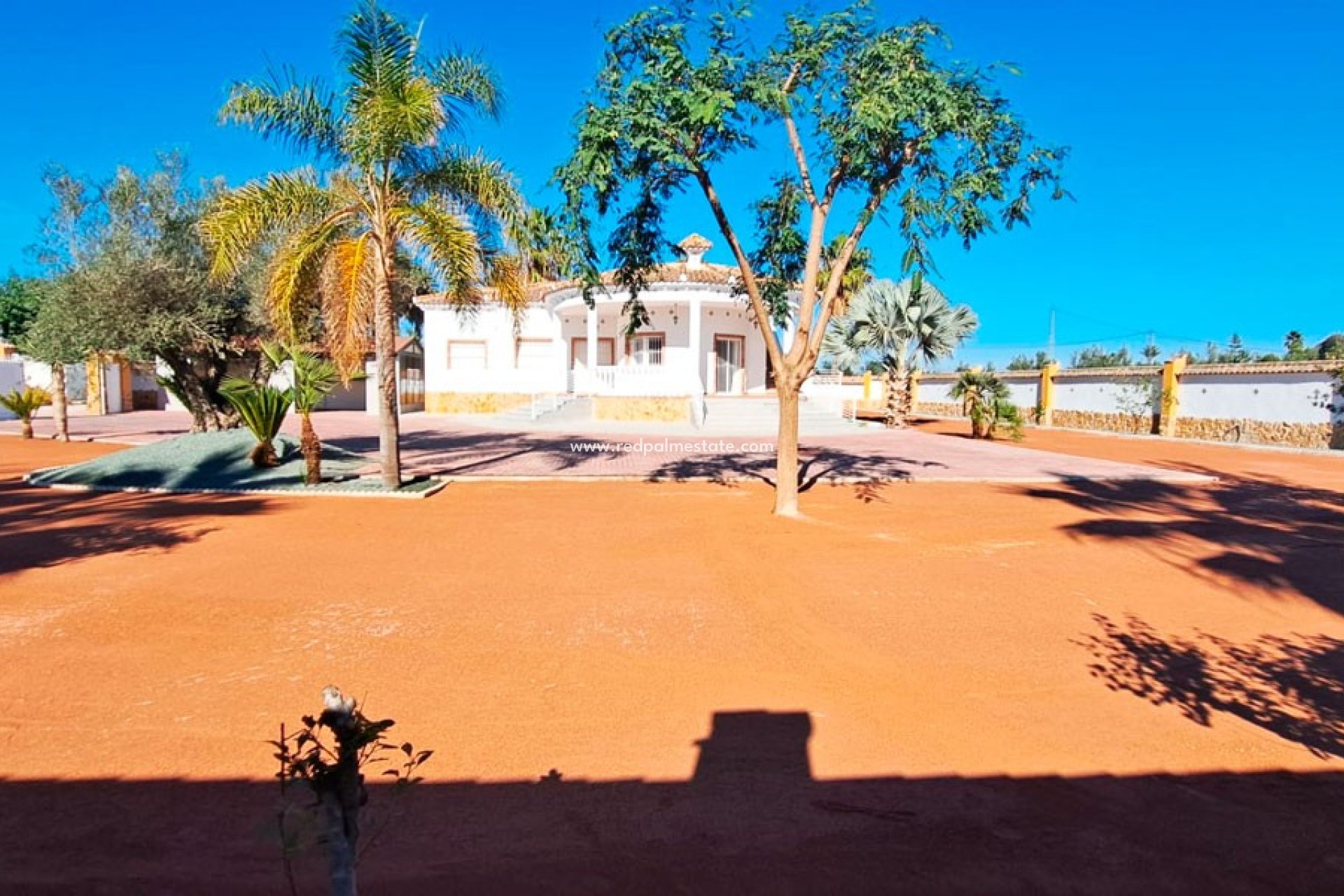 Videresalg - Finca / Landeiendom -
Catral