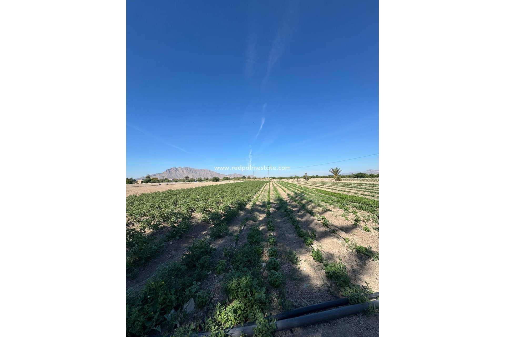 Videresalg - Finca / Landeiendom -
Cox - Granja de Rocamora