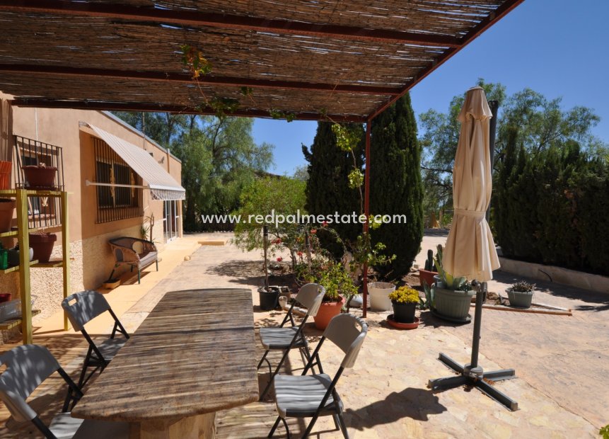 Videresalg - Finca / Landeiendom -
Crevillente - Inland