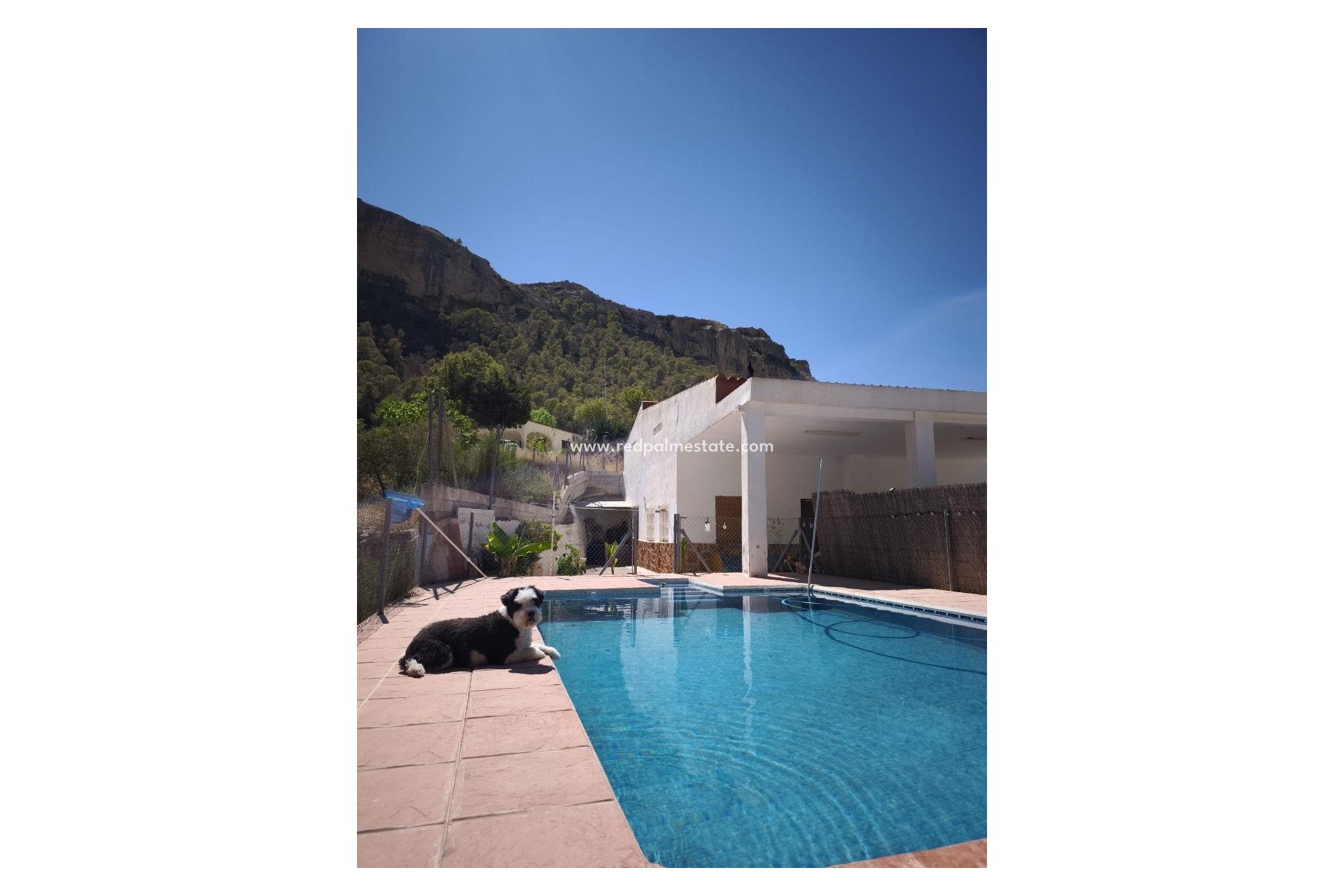 Videresalg - Finca / Landeiendom -
Crevillente - Inland