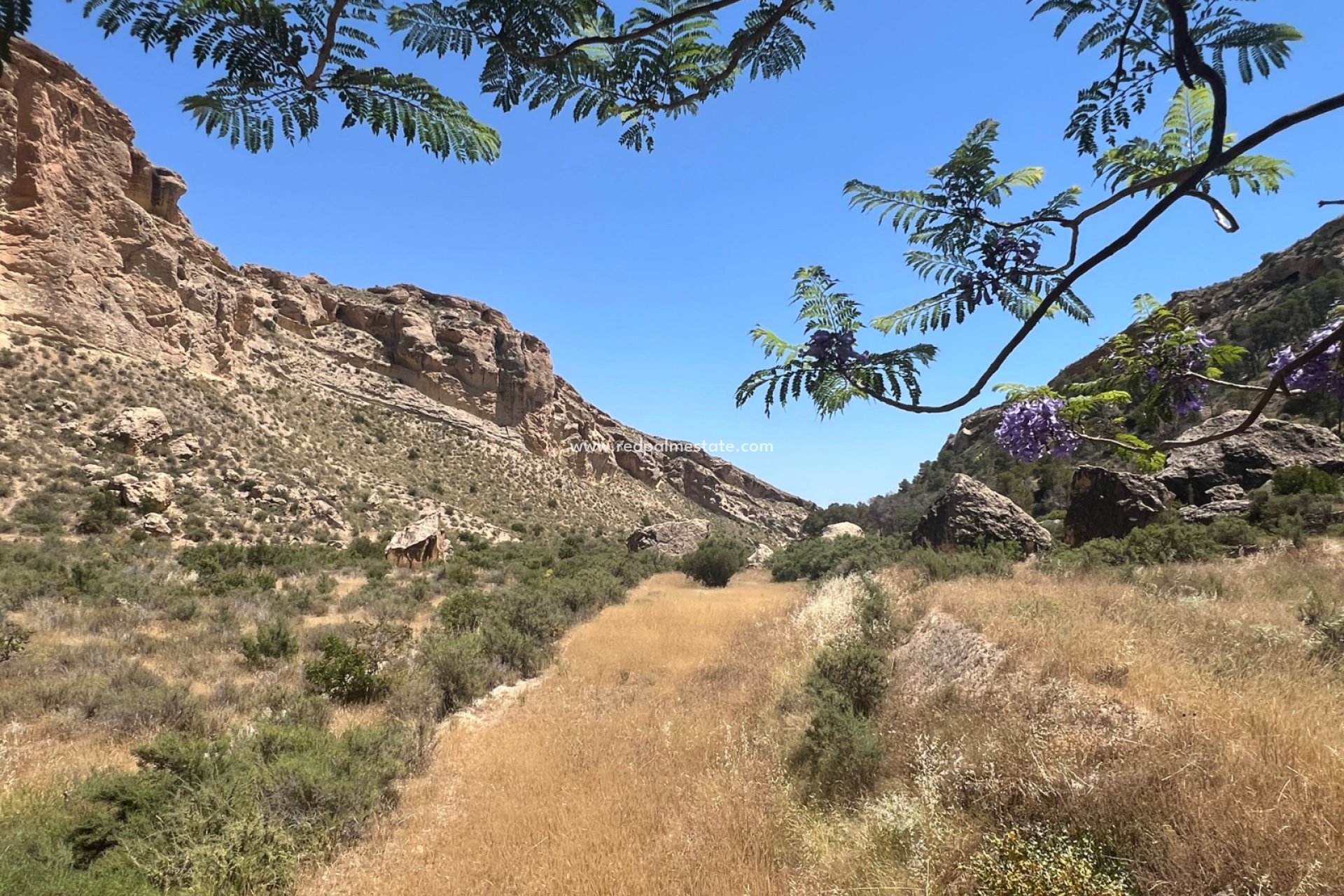 Videresalg - Finca / Landeiendom -
Crevillente - Inland