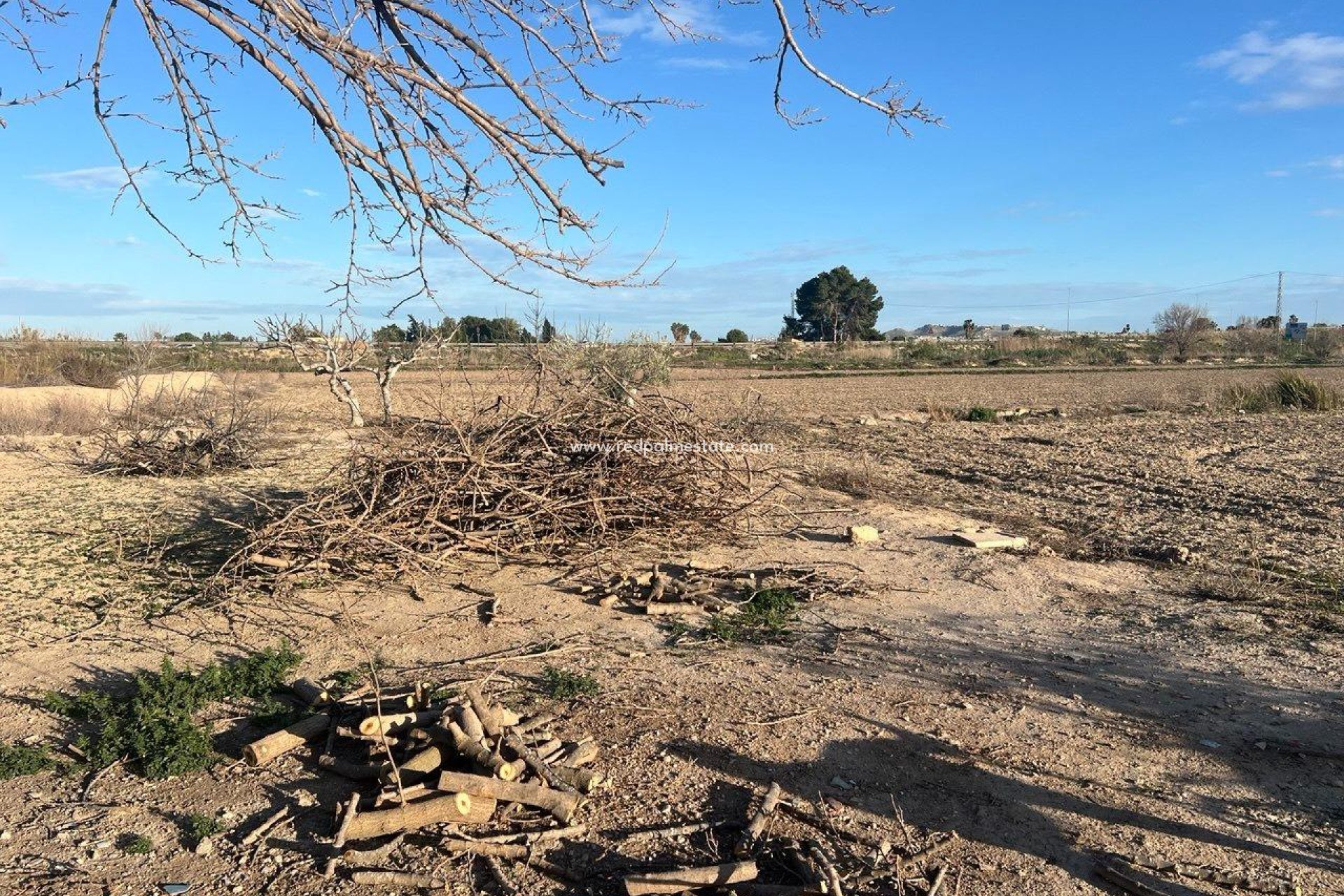 Videresalg - Finca / Landeiendom -
Daya Nueva