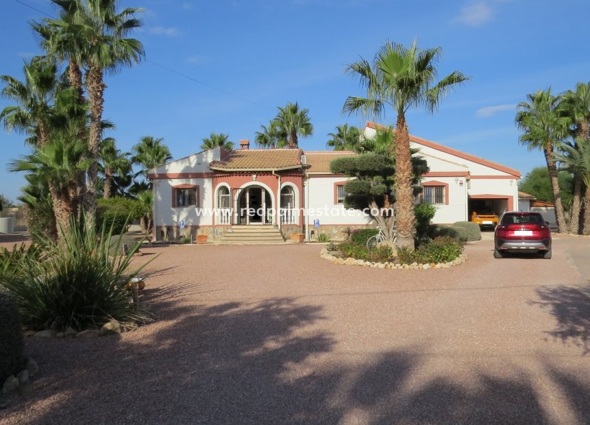 Videresalg - Finca / Landeiendom -
Daya Vieja - Costa Blanca