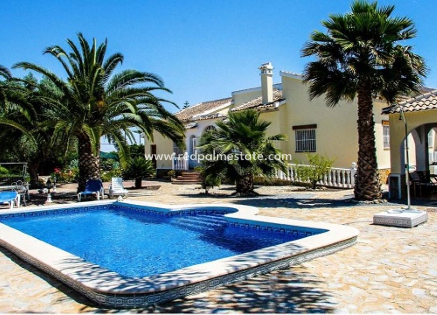 Videresalg - Finca / Landeiendom -
Daya Vieja