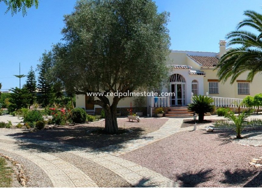 Videresalg - Finca / Landeiendom -
Daya Vieja