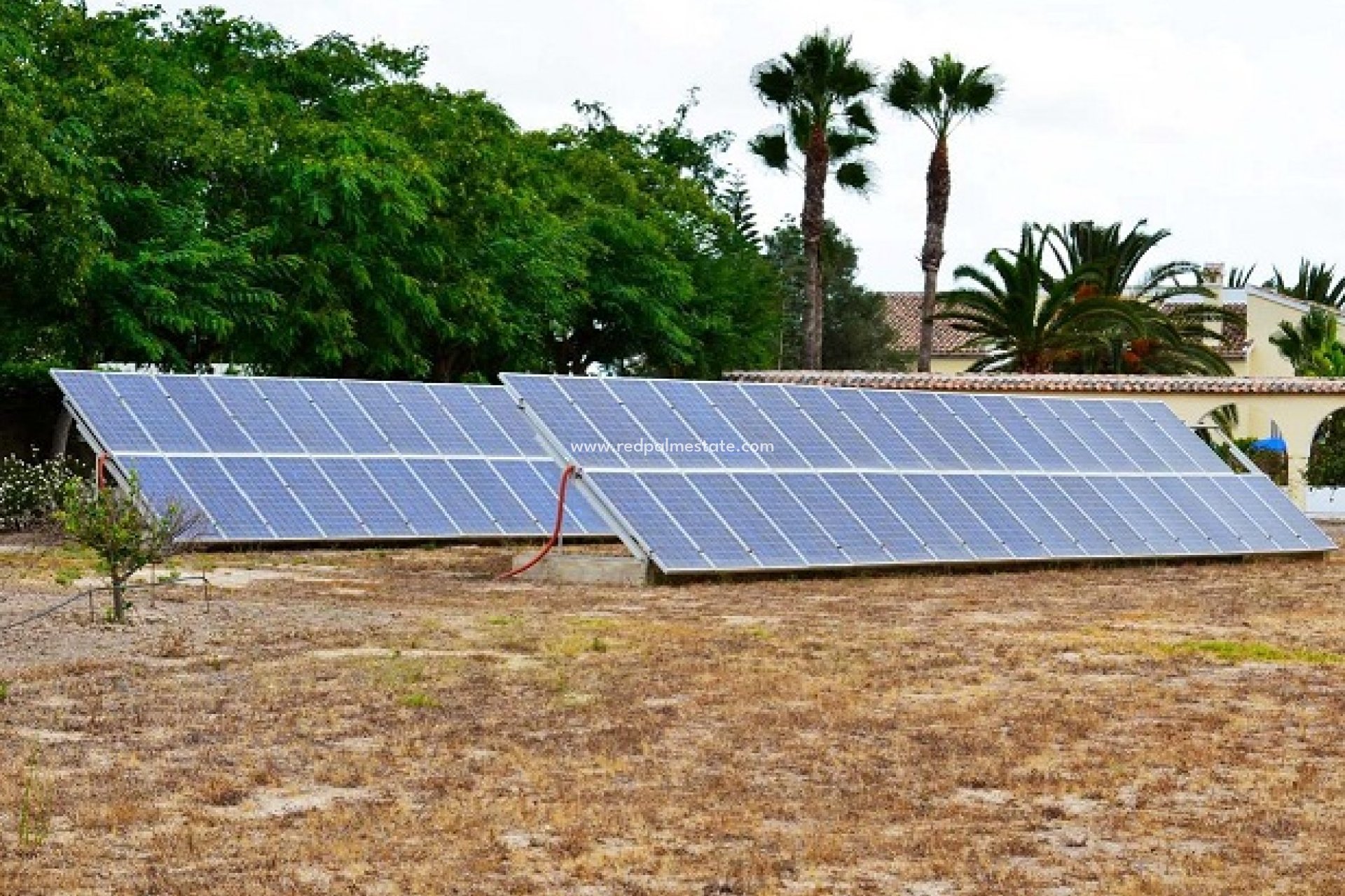 Videresalg - Finca / Landeiendom -
Daya Vieja