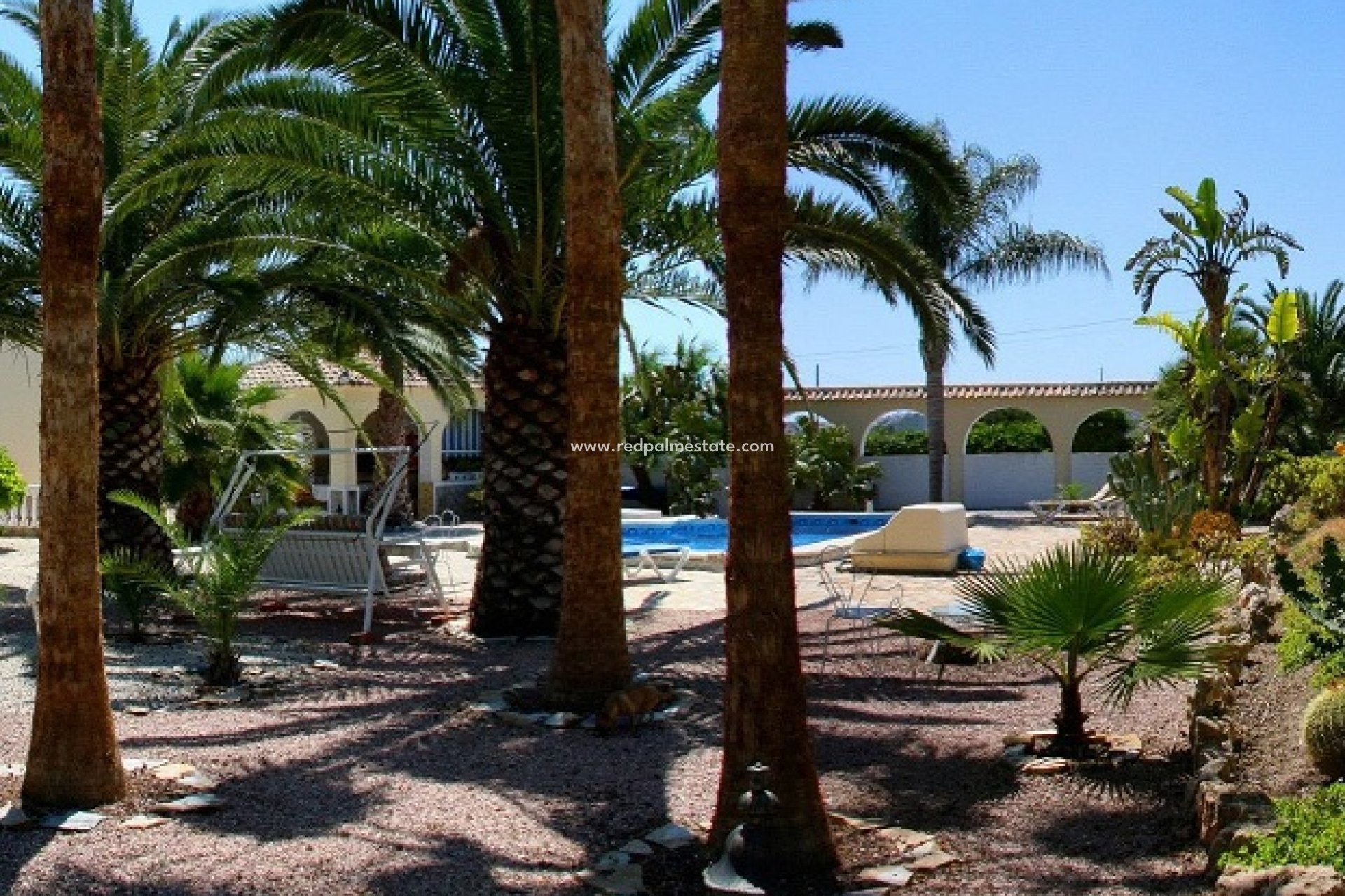 Videresalg - Finca / Landeiendom -
Daya Vieja