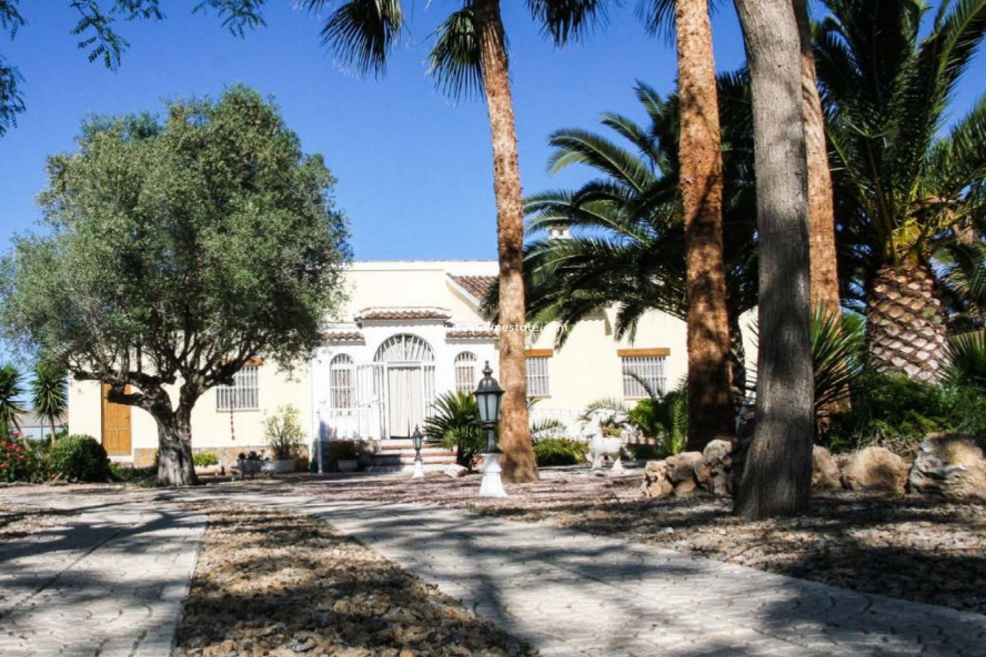 Videresalg - Finca / Landeiendom -
Daya Vieja