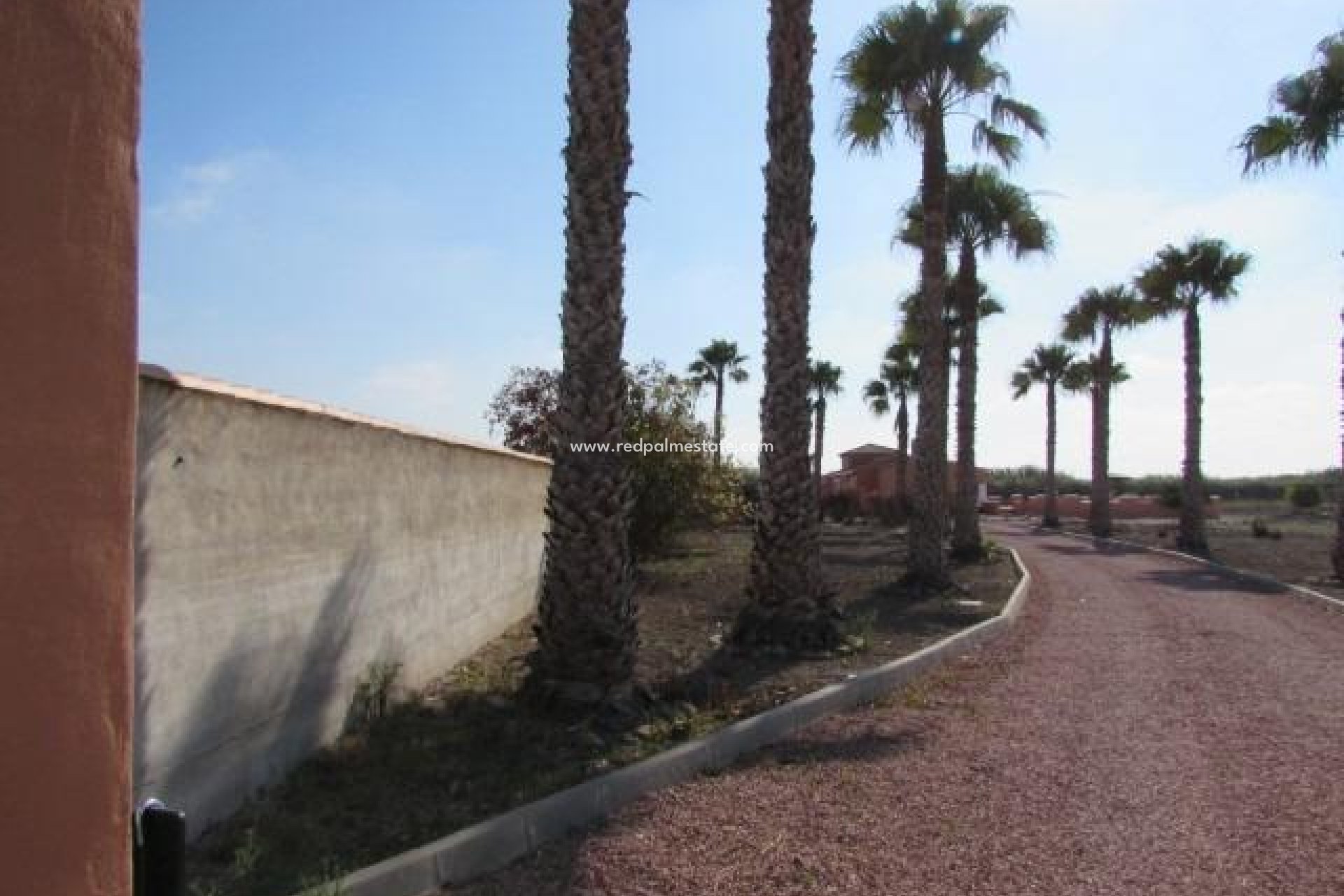 Videresalg - Finca / Landeiendom -
Dolores - Comunidad Valenciana