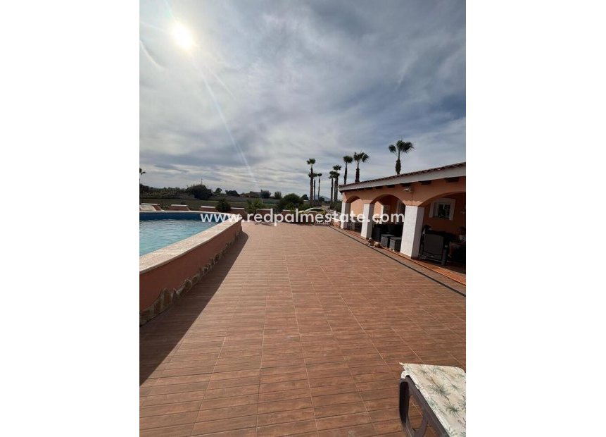 Videresalg - Finca / Landeiendom -
Dolores - Costa Blanca