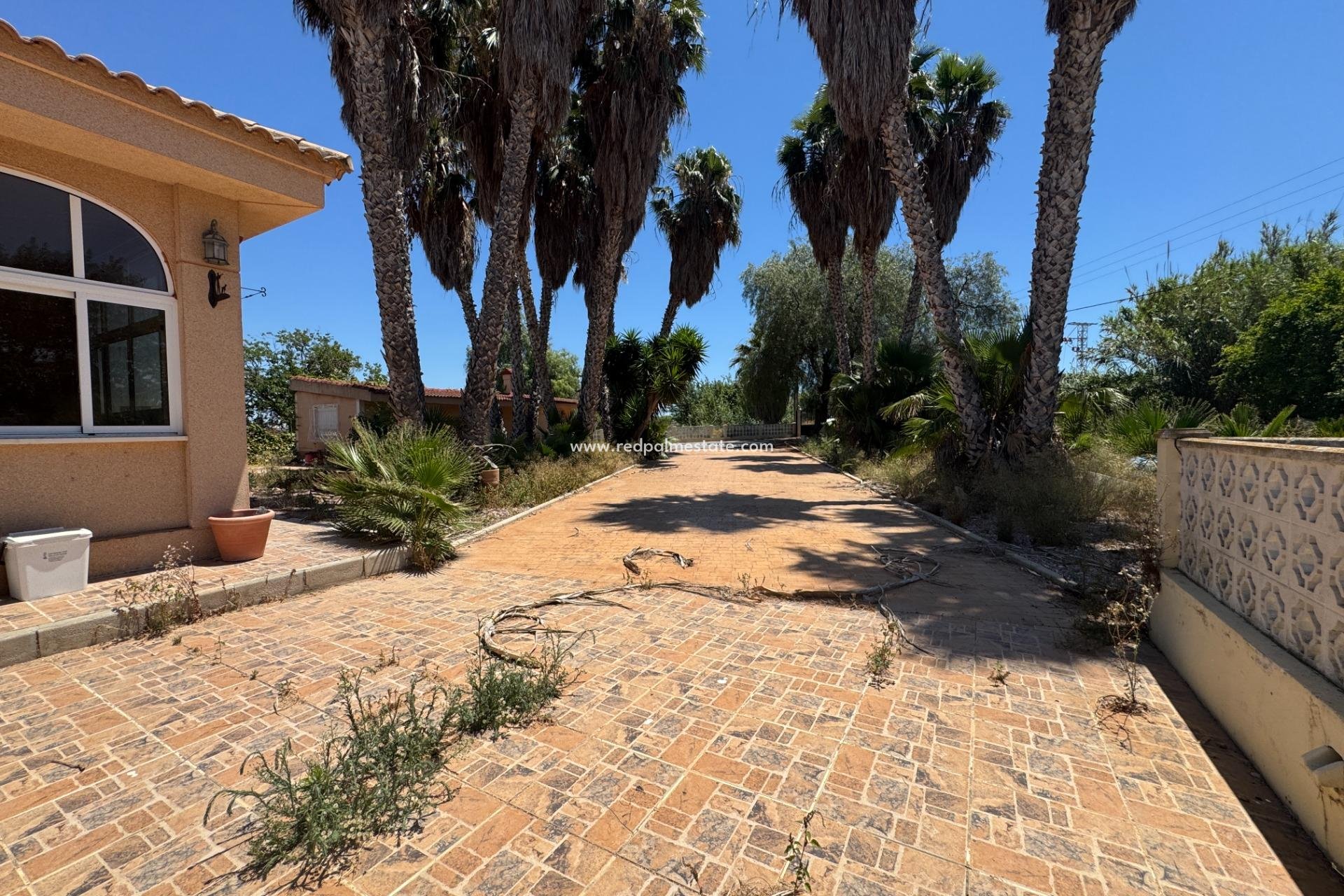 Videresalg - Finca / Landeiendom -
Dolores