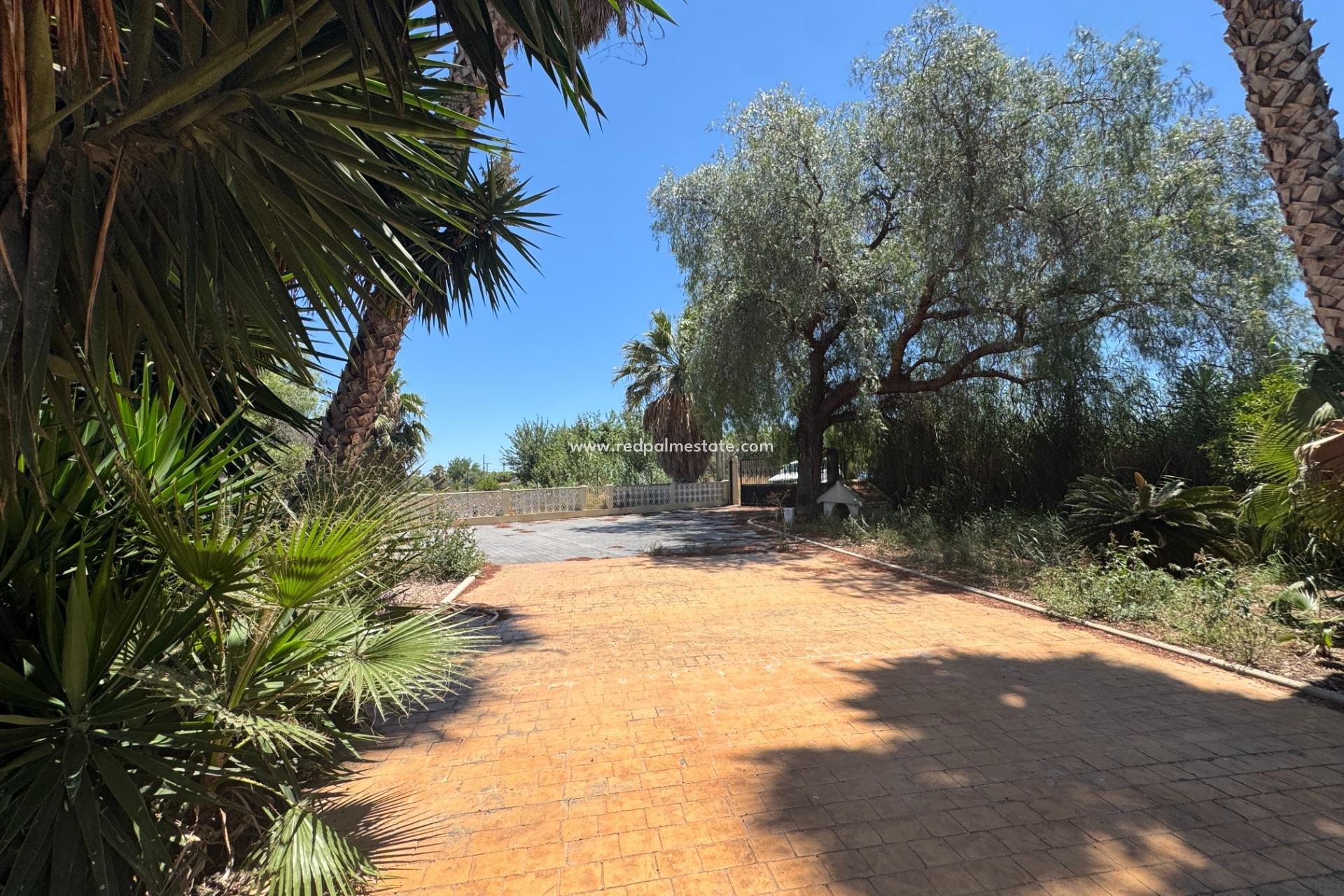 Videresalg - Finca / Landeiendom -
Dolores