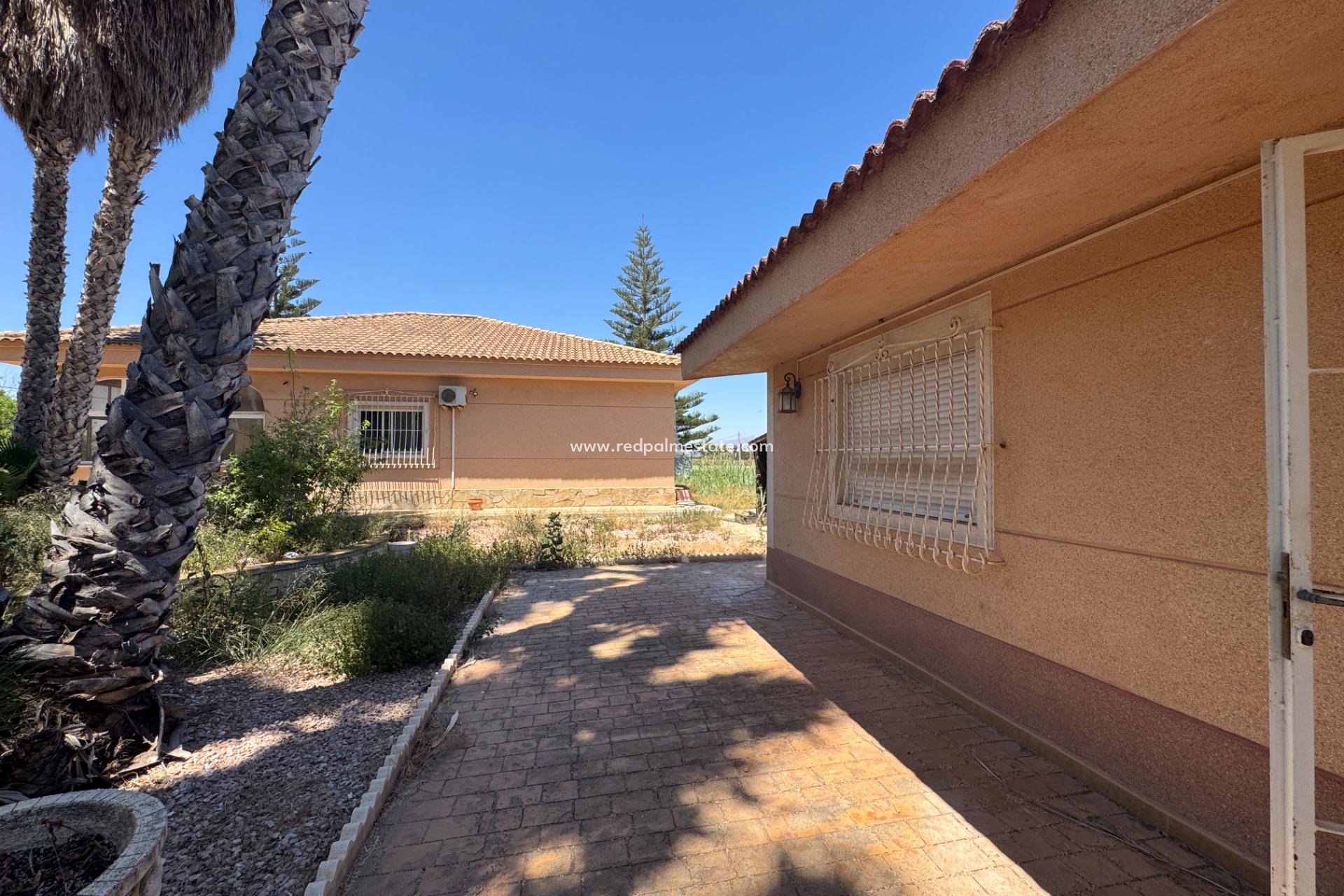 Videresalg - Finca / Landeiendom -
Dolores