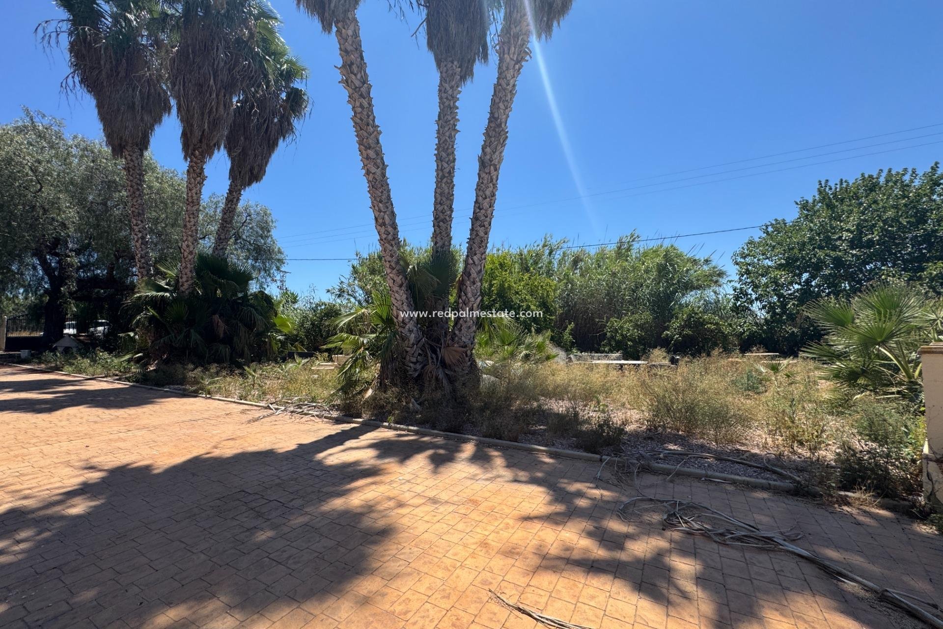 Videresalg - Finca / Landeiendom -
Dolores