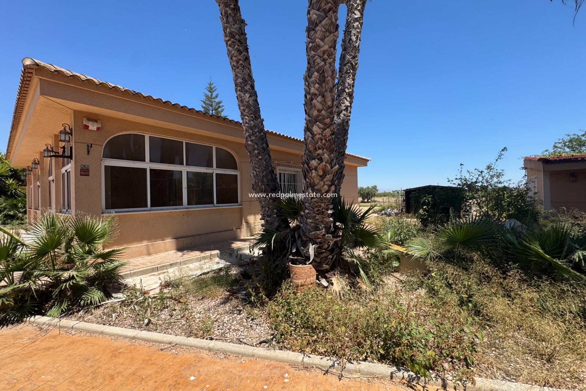 Videresalg - Finca / Landeiendom -
Dolores