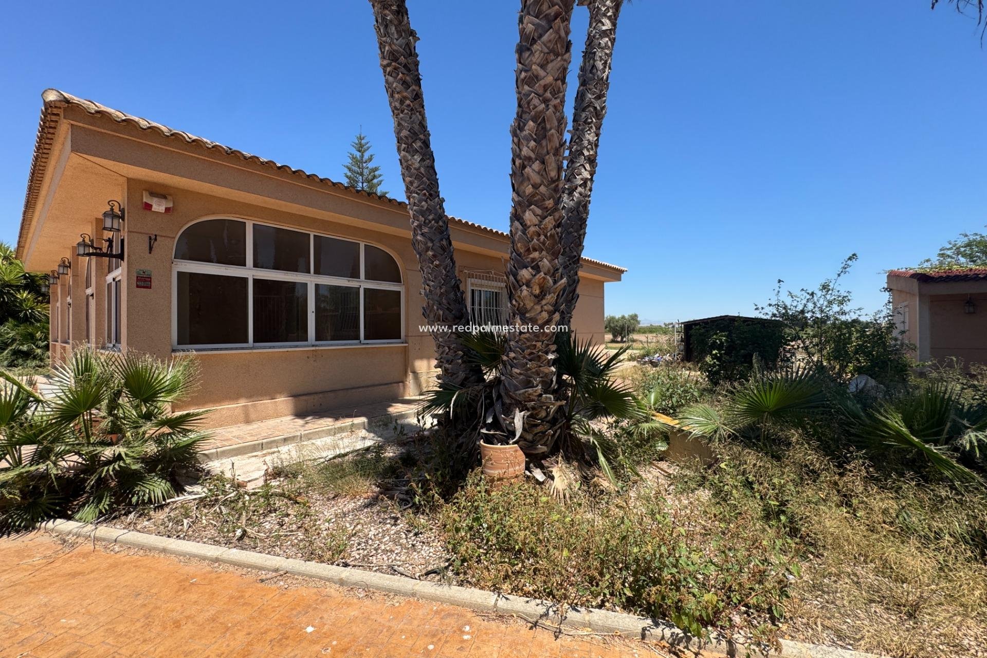 Videresalg - Finca / Landeiendom -
Dolores