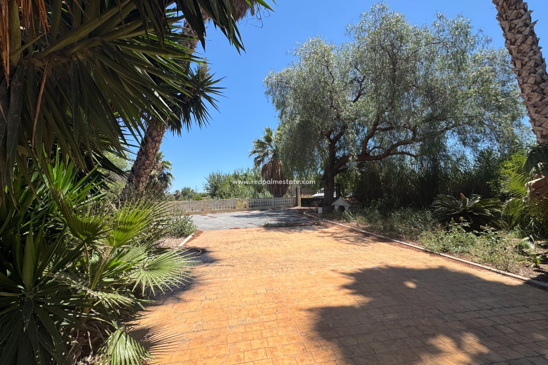 Videresalg - Finca / Landeiendom -
Dolores