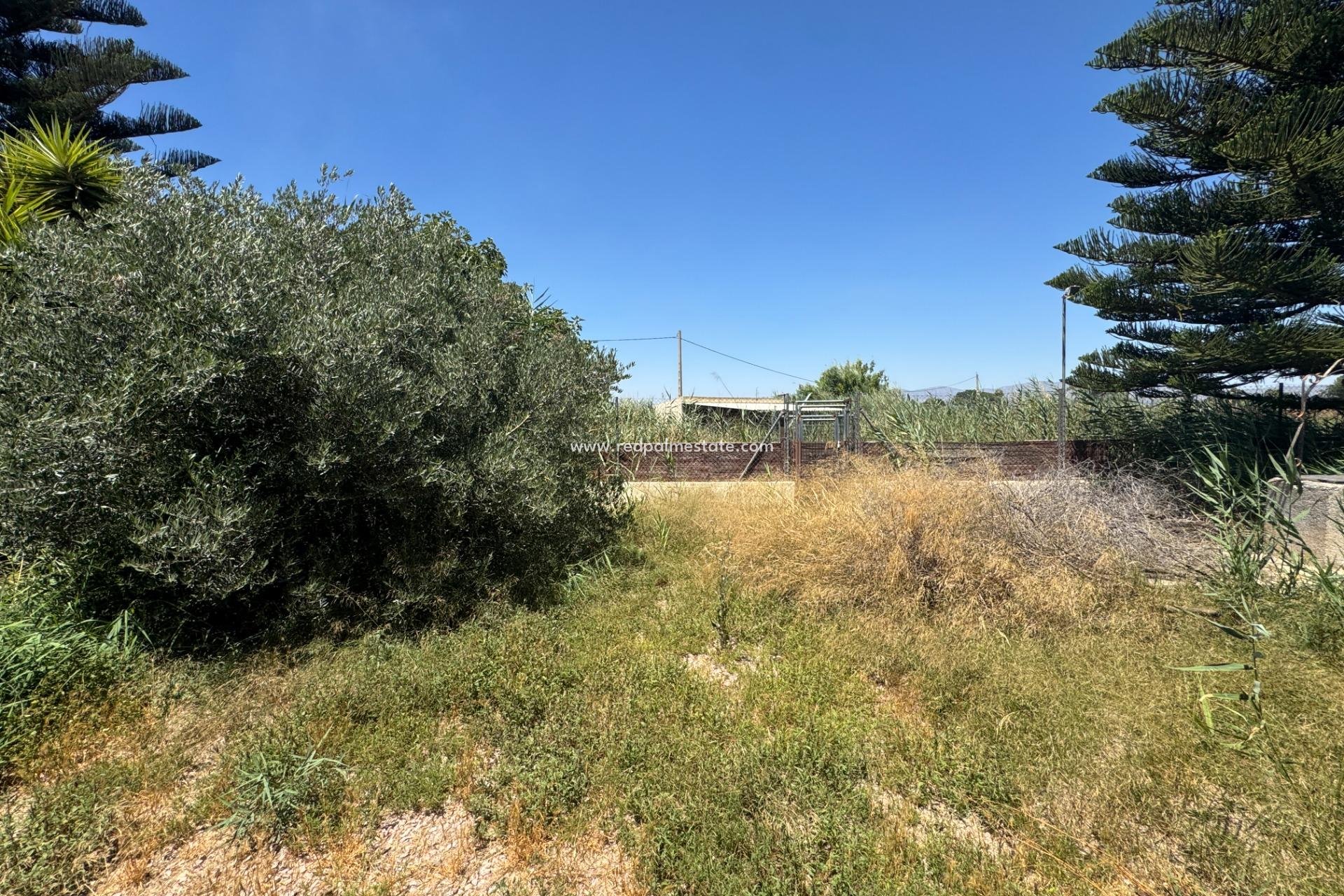 Videresalg - Finca / Landeiendom -
Dolores