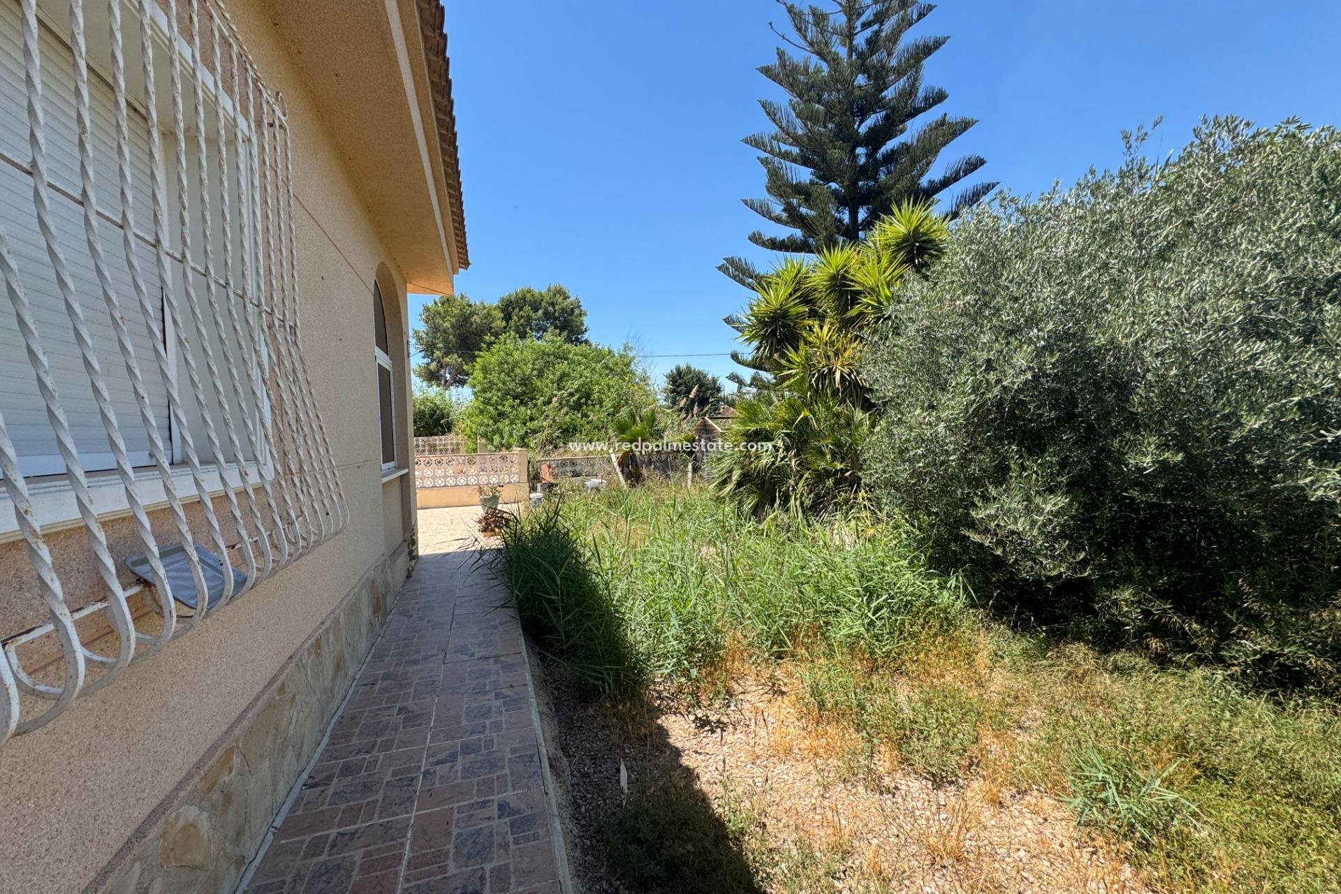 Videresalg - Finca / Landeiendom -
Dolores