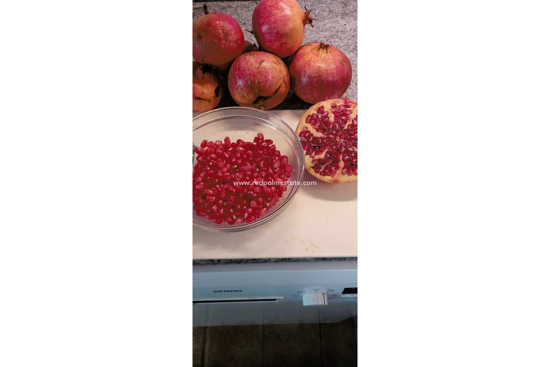 Videresalg - Finca / Landeiendom -
Dolores