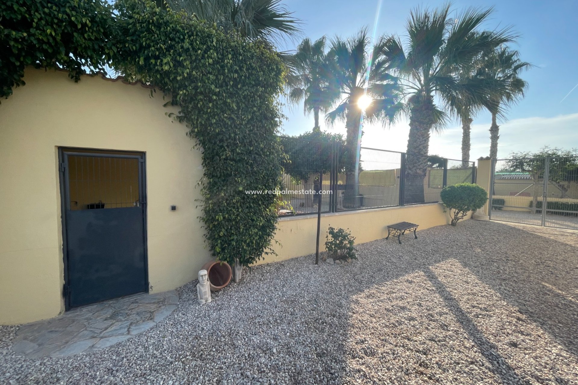 Videresalg - Finca / Landeiendom -
Elche - Costa Blanca