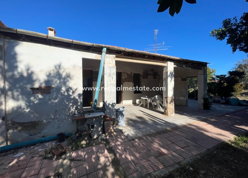 Videresalg - Finca / Landeiendom -
Elche - Costa Blanca