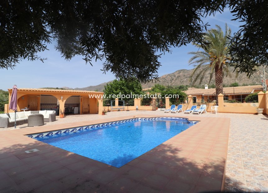 Videresalg - Finca / Landeiendom -
Hondón de las Nieves - Inland