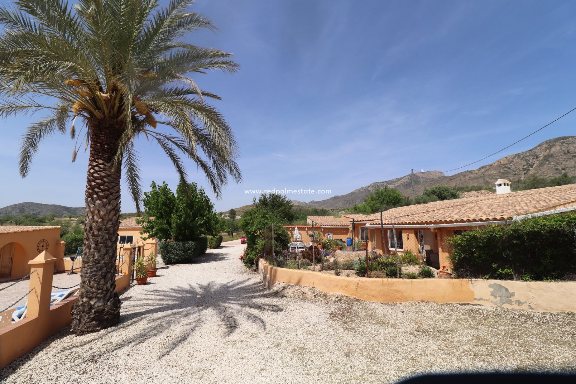 Videresalg - Finca / Landeiendom -
Hondón de las Nieves - Inland